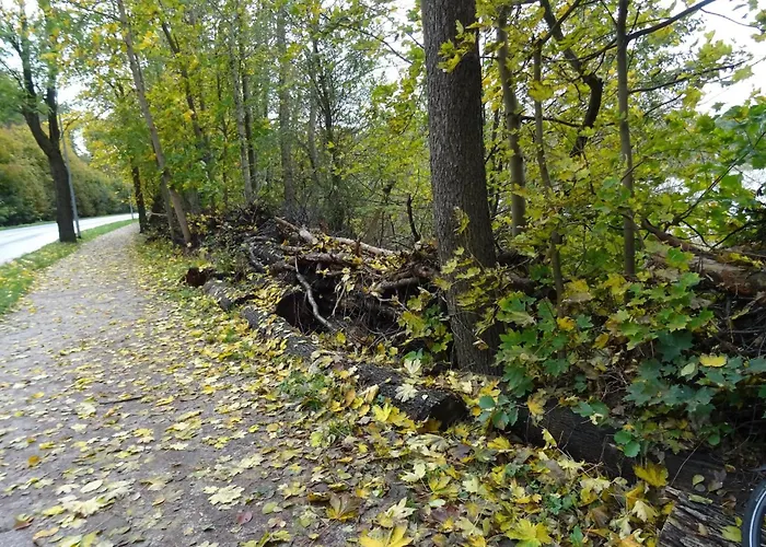 In Mit Fruehstueck Inklusive *