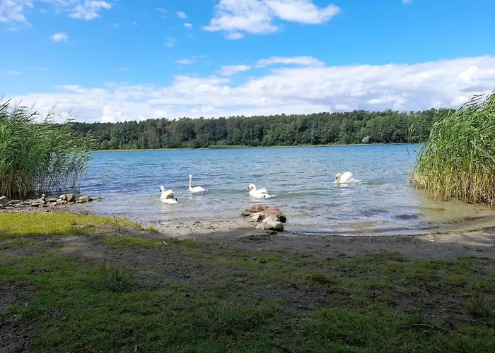 In Mit Fruehstueck Inklusive * شتراوسبرغ